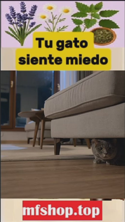 Spray Calmante para Mascotas | Alivio Natural del Estrés y la Ansiedad
